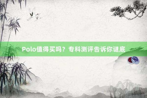 Polo值得买吗？专科测评告诉你谜底